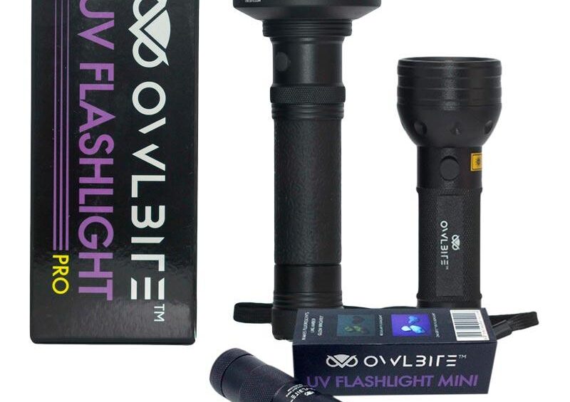 Ravlygter: Familiepakke V1 fra danske OwlBite med 3 stk. kraftige UV-rav-lygter