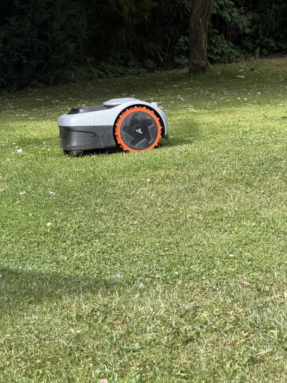 Segway Navimow i105e i profil med det orange drivhjul på græs
